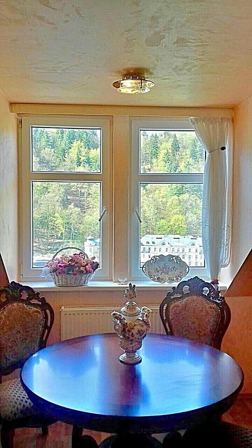 Lira 3 Apartments 카를로비바리 외부 사진